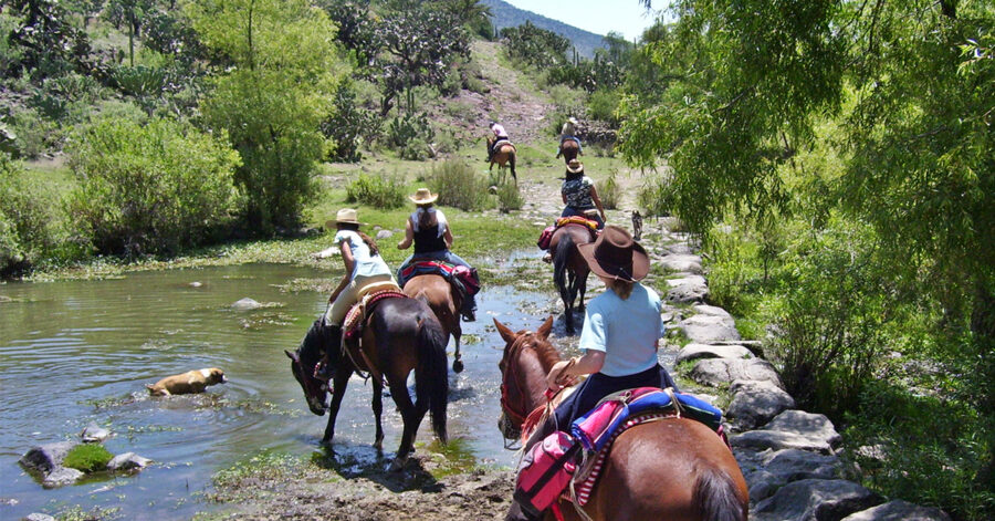 El Rancho Ride, Mexico - Globetrotting horse riding holidays