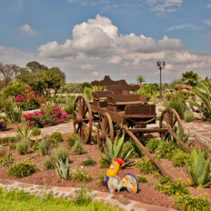 El Rancho Ride, Mexico - Globetrotting horse riding holidays