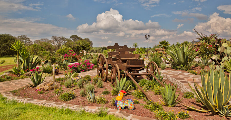 El Rancho Ride, Mexico - Globetrotting horse riding holidays