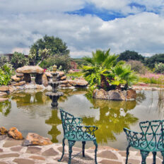 El Rancho Ride, Mexico - Globetrotting horse riding holidays
