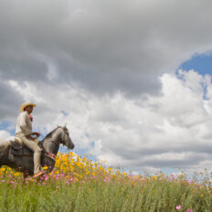 El Rancho Ride, Mexico - Globetrotting horse riding holidays