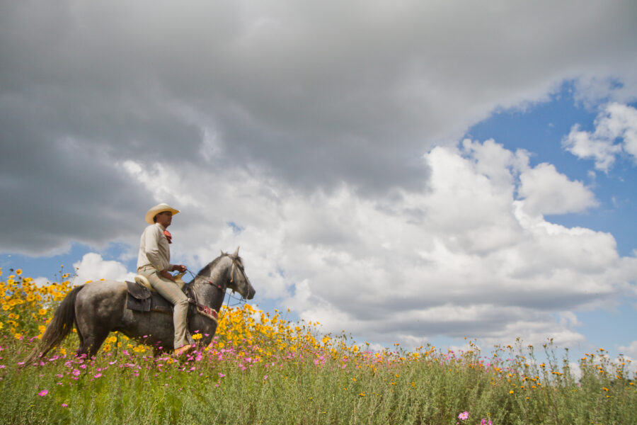 El Rancho Ride, Mexico - Globetrotting horse riding holidays