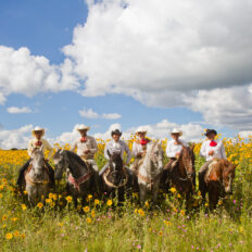 El Rancho Ride, Mexico - Globetrotting horse riding holidays
