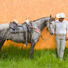 El Rancho Ride, Mexico - Globetrotting horse riding holidays