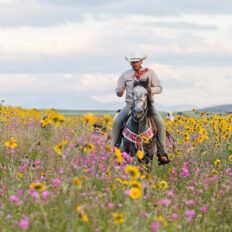 El Rancho Ride, Mexico - Globetrotting horse riding holidays