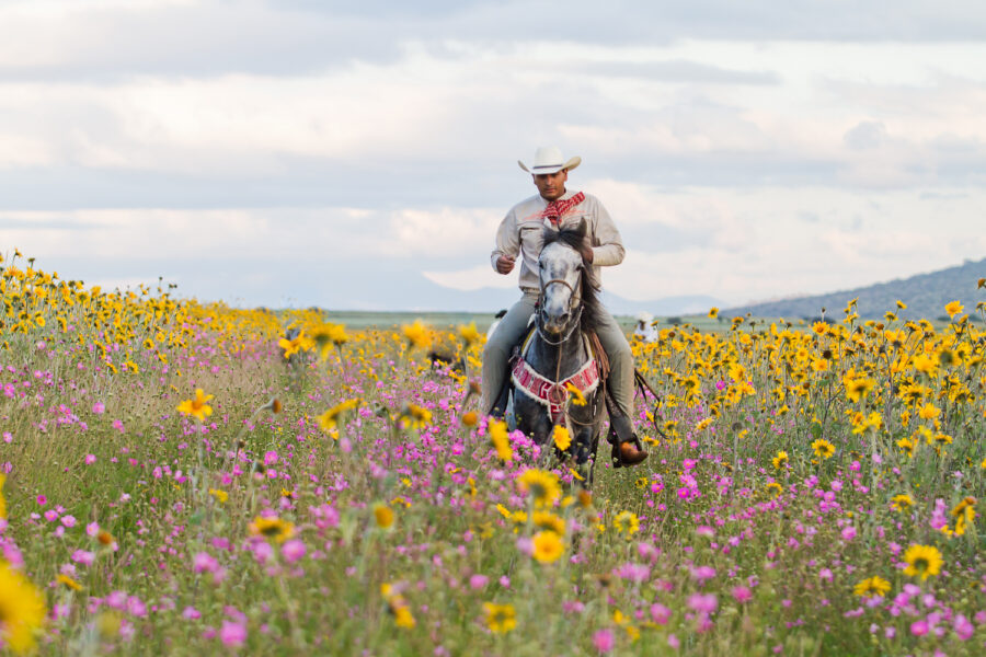 El Rancho Ride, Mexico - Globetrotting horse riding holidays