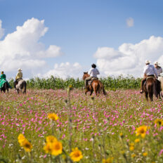 El Rancho Ride, Mexico - Globetrotting horse riding holidays