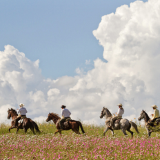 El Rancho Ride, Mexico - Globetrotting horse riding holidays