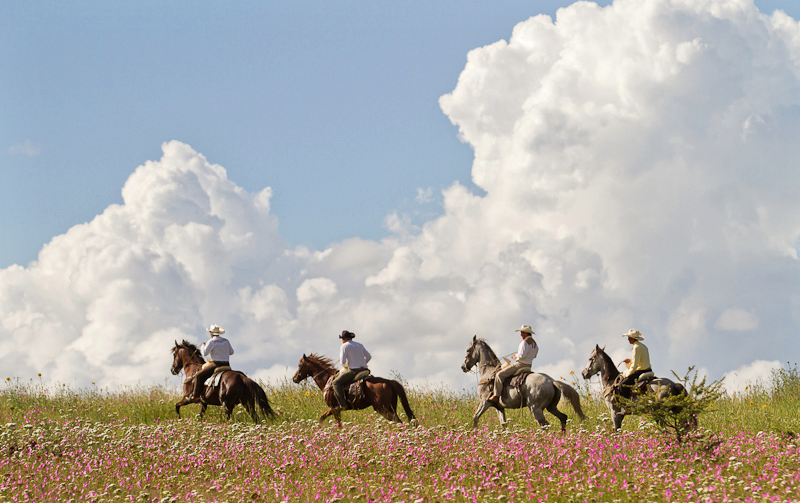 El Rancho Ride, Mexico - Globetrotting horse riding holidays