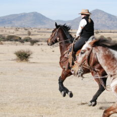 El Rancho Ride, Mexico - Globetrotting horse riding holidays