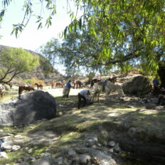 El Rancho Ride, Mexico - Globetrotting horse riding holidays