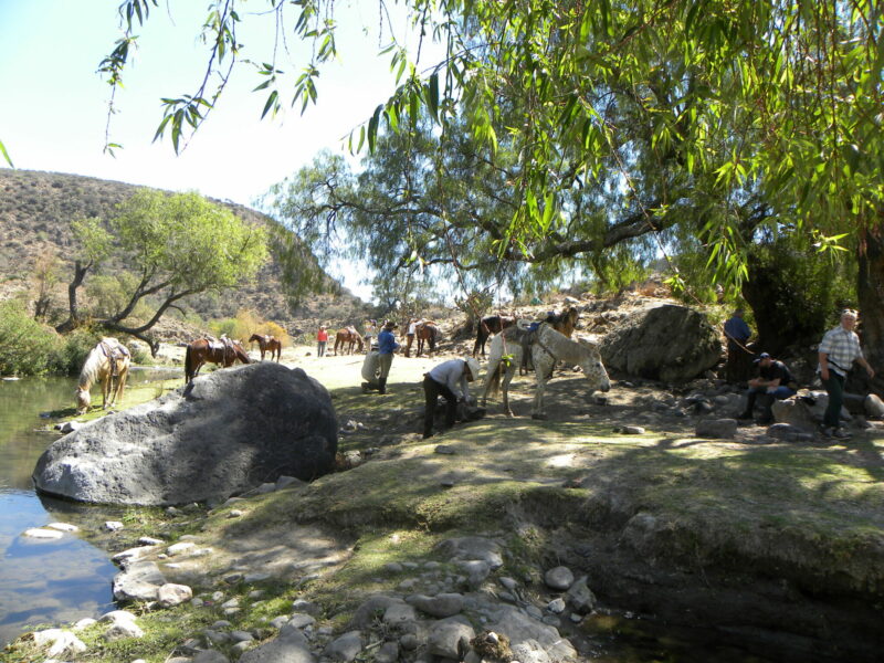 El Rancho Ride, Mexico - Globetrotting horse riding holidays