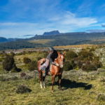 Cradle to Coast, Tasmania, Globetrotting Horse Riding Holidays