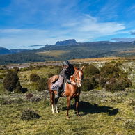 Cradle to Coast, Tasmania, Globetrotting Horse Riding Holidays