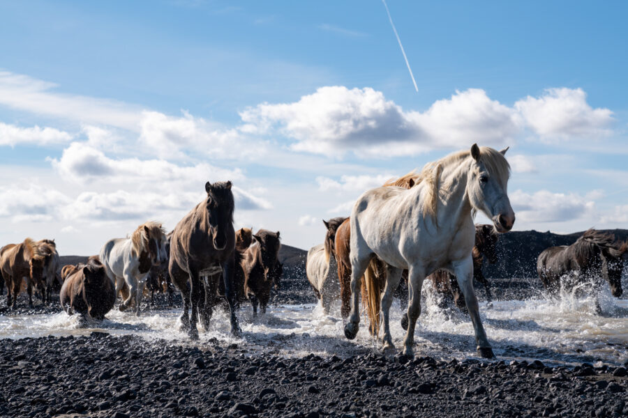 Touch of the Highlands Ride, Iceland - Globetrotting horse riding holidays