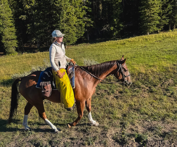 Big Horn Cattle Drive, Wyoming, USA, Globetrotting Horse Riding Holidays