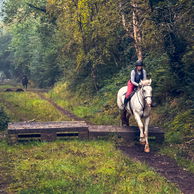 Castle & Estate Ride, Ireland, Globetrotting Horse Riding Holiday