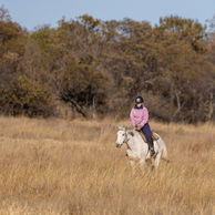 THE BUSHVELD, SOUTH AFRICA, GLOBETROTTING HORSE RIDING HOLIDAYS