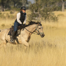 The Okavango Delta Safari, Botswana - Globetrotting horse riding holidays