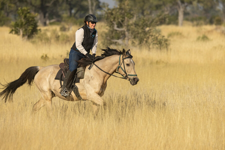 The Okavango Delta Safari, Botswana - Globetrotting horse riding holidays