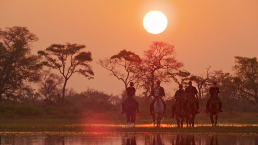 The Okavango Delta Safari, Botswana - Globetrotting horse riding holidays