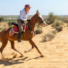 The Marwari Ride, India - Globetrotting horse riding holidays