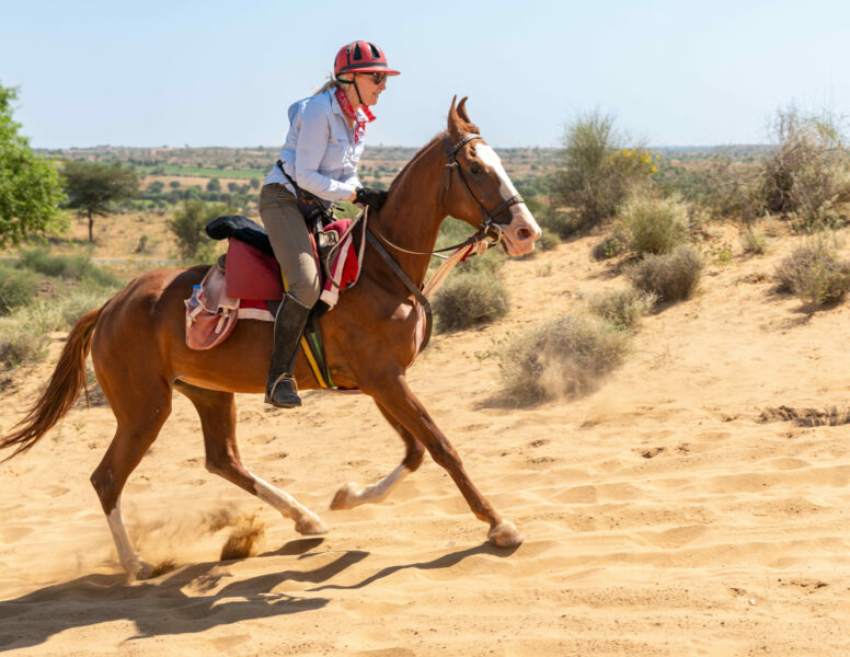 The Marwari Ride, India - Globetrotting horse riding holidays