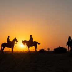 The Marwari Ride, India - Globetrotting horse riding holidays