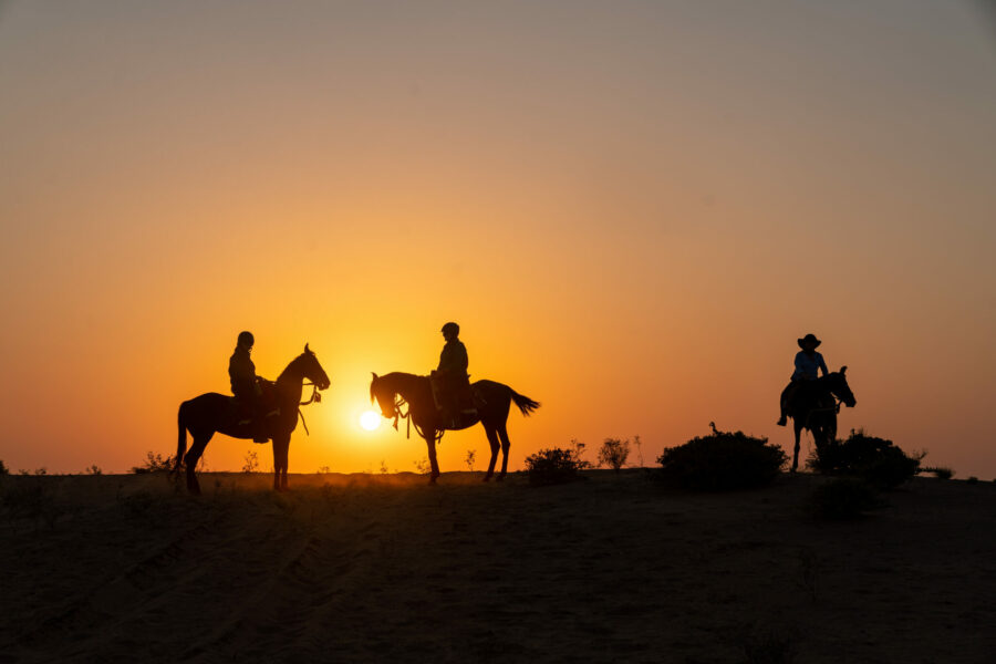The Marwari Ride, India - Globetrotting horse riding holidays