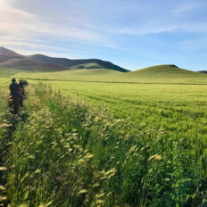 Sicily, Italy - Globetrotting horse riding holidays