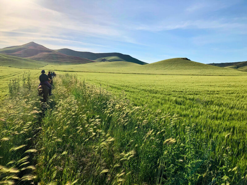 Sicily, Italy - Globetrotting horse riding holidays
