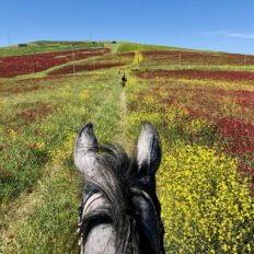 Sicily, Italy - Globetrotting horse riding holidays