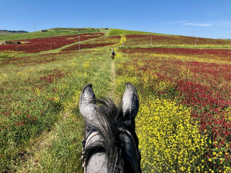 Sicily, Italy - Globetrotting horse riding holidays