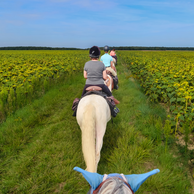 Loire Valley & Castles | Globetrotting Horse Riding Holidays in France