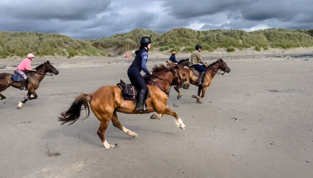 Trans Wales Trail, Globetrotting Horse Riding Holidays