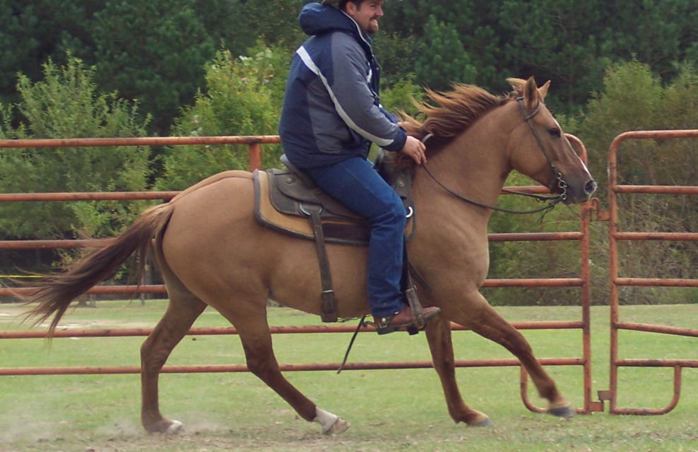 Carolina Marsh Tacky