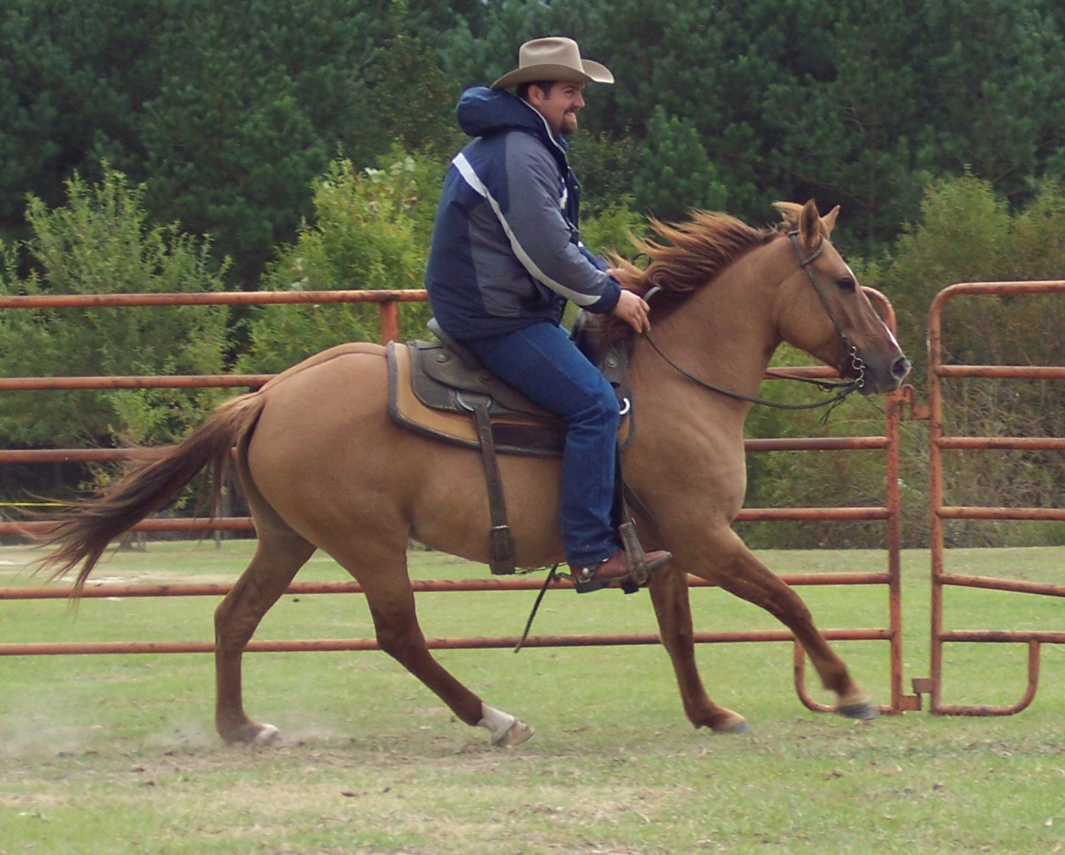 Carolina Marsh Tacky