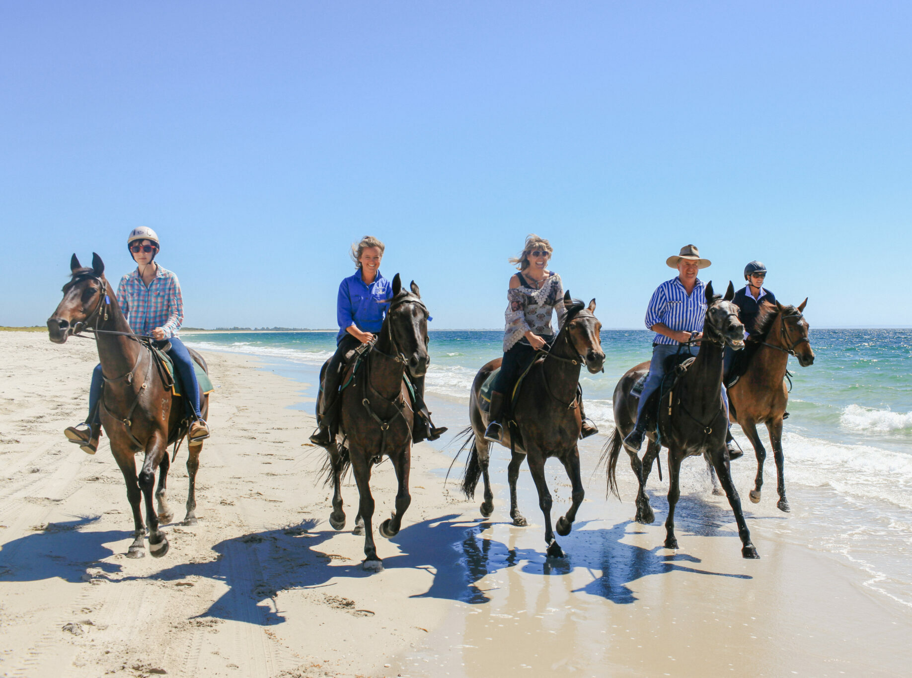 Horse Breed: Australian Stock Horse - image by Globetrotting horse riding holidays, taken on The Margaret River Ride, Western Australia.