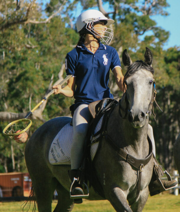 Horse Breed: Australian Stock Horse - image by Globetrotting horse riding holidays, taken on The Margaret River Ride, Western Australia.