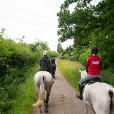 The Cotswolds Ride, England - Globetrotting horse riding holidays