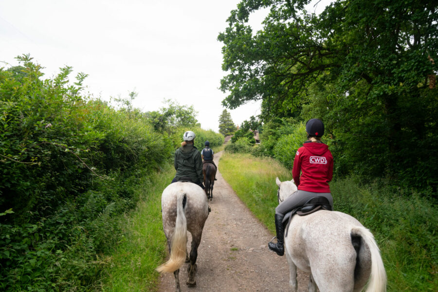 The Cotswolds Ride, England - Globetrotting horse riding holidays