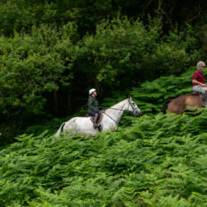 The Cotswolds Ride, England - Globetrotting horse riding holidays