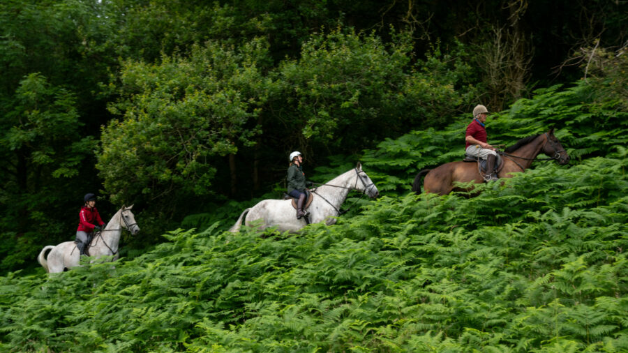 The Cotswolds Ride, England - Globetrotting horse riding holidays
