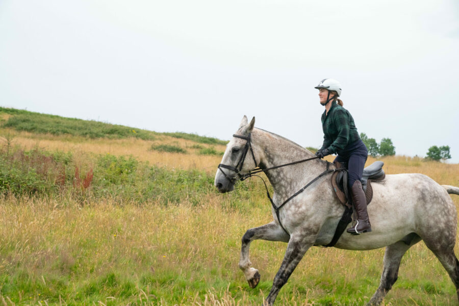 The Cotswolds Ride, England - Globetrotting horse riding holidays