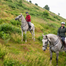 The Cotswolds Ride, England - Globetrotting horse riding holidays