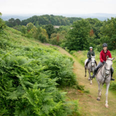 The Cotswolds Ride, England - Globetrotting horse riding holidays