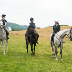 The Cotswolds Ride, England - Globetrotting horse riding holidays