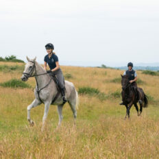 The Cotswolds Ride, England - Globetrotting horse riding holidays
