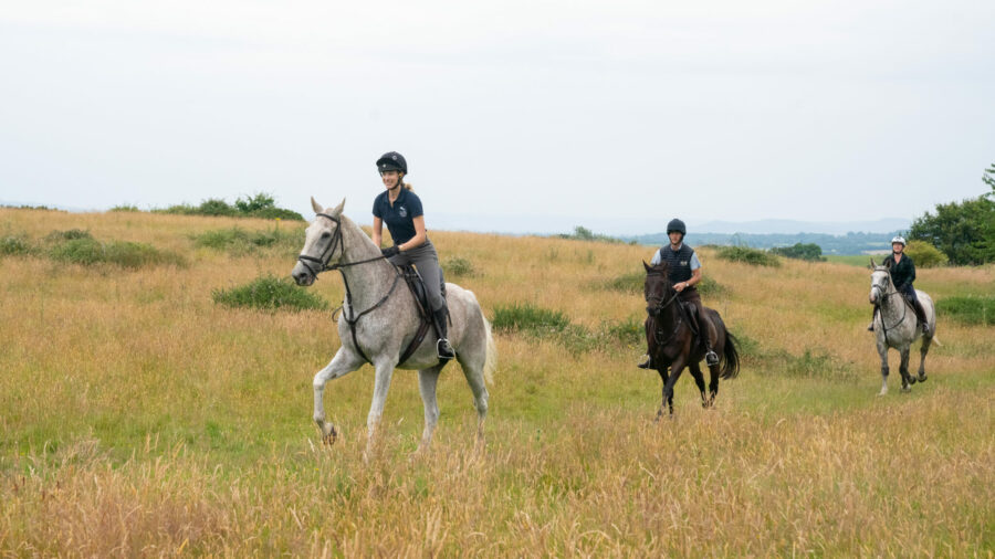 The Cotswolds Ride, England - Globetrotting horse riding holidays