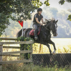 Cross Country in Tipperary, Ireland - Globetrotting horse riding holidays